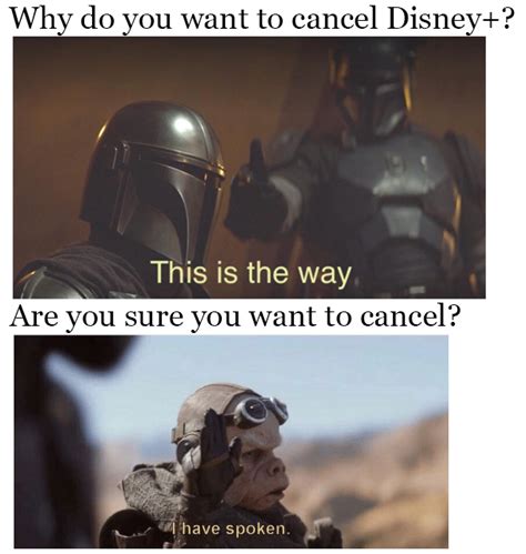 questions asked   policy isnt  rmemes