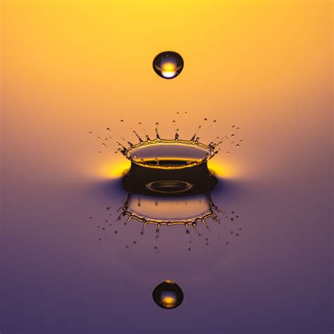 Self-Sovereign Identity - Silicon Palms