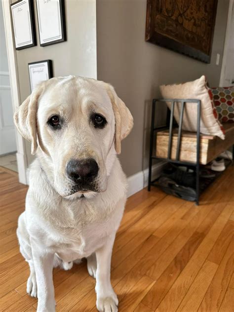 The Villa Rehab Center | Saint Albans VT