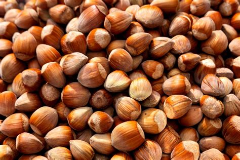 Top 10 Amazing Health Benefits Of Hazelnuts Herbs Inf - vrogue.co