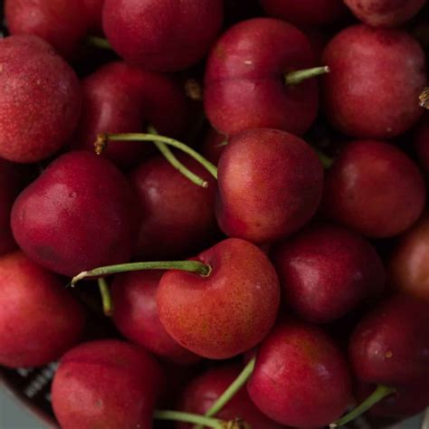 cherry recipes storage  cooking tips naturally ella