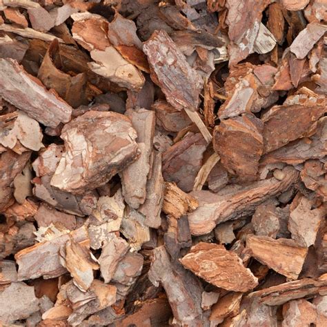 premium photo pine chips close  seamless texture  pieces  pine bark