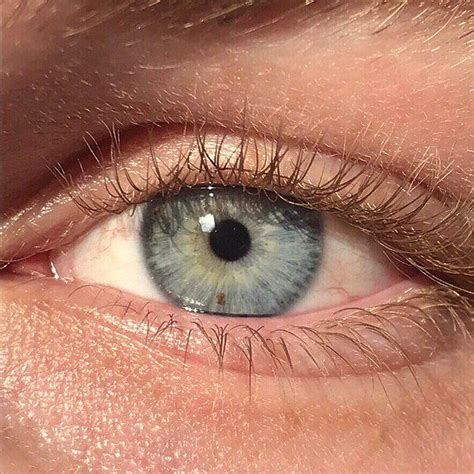 blue eyes  historically   significant measure