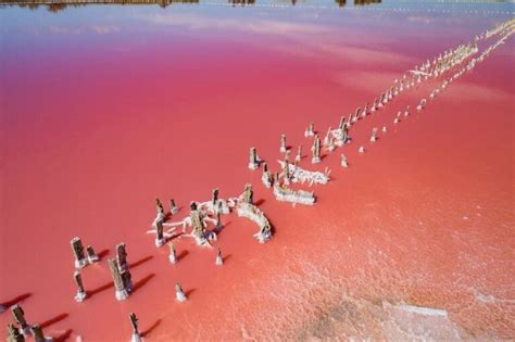 Кинбурнская коса: отдых, фото, карта | TripMustGoOn | Карта, Туризм, Косы