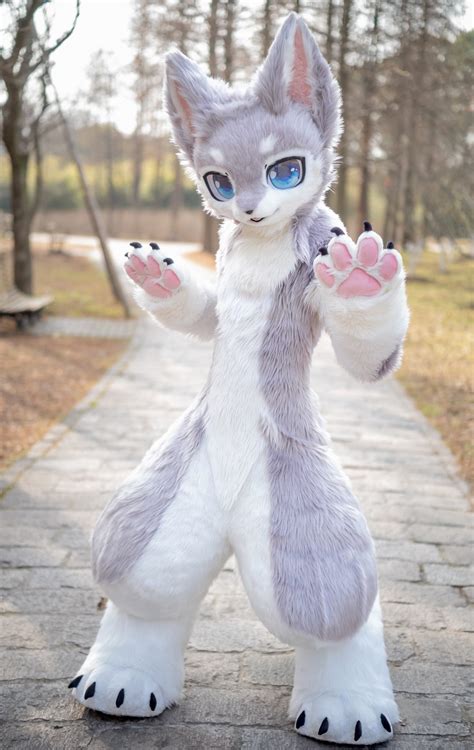 Ookami狼 : r/furryhits