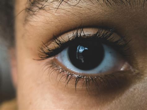 Eyes Photos, Download The BEST Free Eyes Stock Photos & HD Images