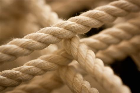 rope  study   photographs marlene  photography