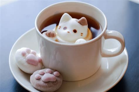 cat chit chat coffee cat  amazing