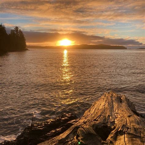 Tofino Camping: 11 Great Tofino Campgrounds | Routinely Nomadic