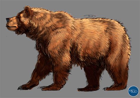 How to Draw Bears - Aaron Blaise's course (6) | Images :: Behance