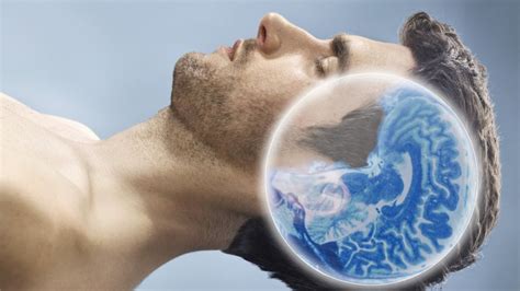 Sleep's memory role discovered - BBC News