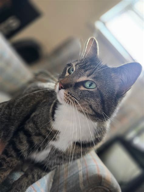 Kayla Summers (@insertcurrentobsession) • Instagram photos and videos