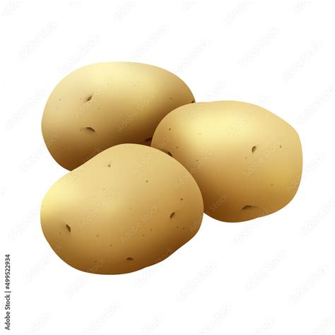 stock adobe stock