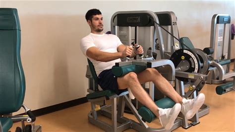 What Is A Hamstring Curl at Brayden Woodd blog