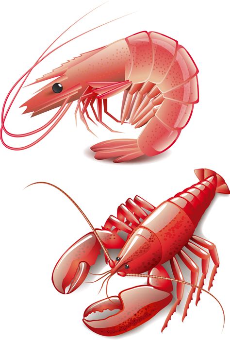 lobster clipart cooked gambar lobster animasi clipartkey