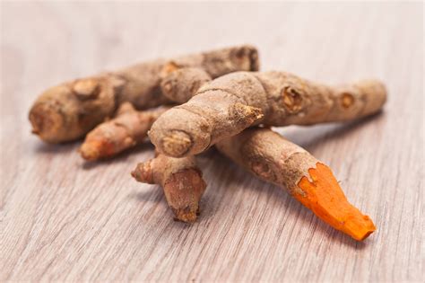 turmeric root plant