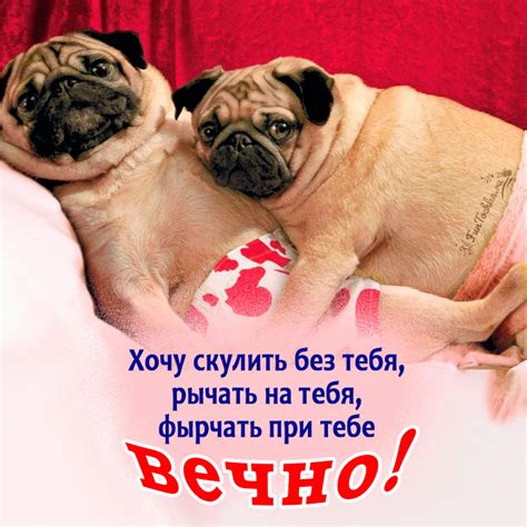 ТОП-65 Смешные валентинки на 14 февраля — мемы для всех