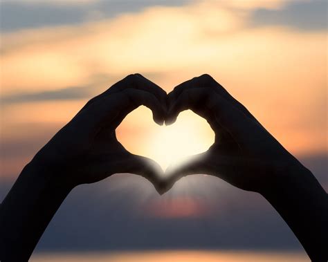 ways  create household harmony  lockdown mirage news