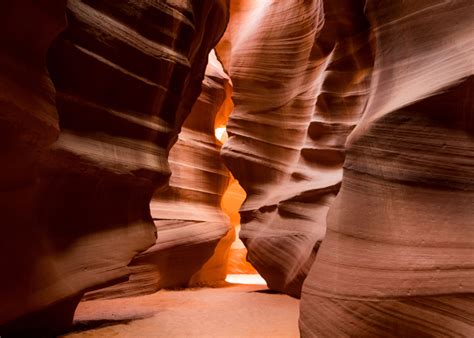 Wild North America: Best Western Spots | G Adventures