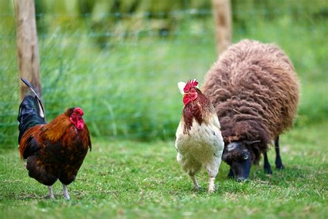 Sophie+Rain+Pics+Free Photos, Download The BEST Free Sophie+Rain+Pics