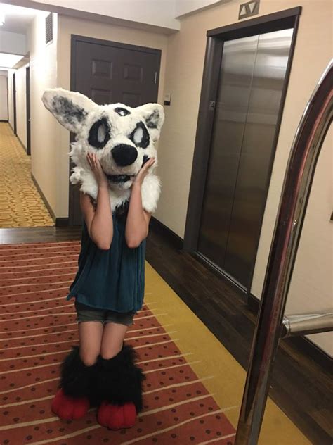 How to find me at Anthrocon | Fursuit Maker Amino Amino