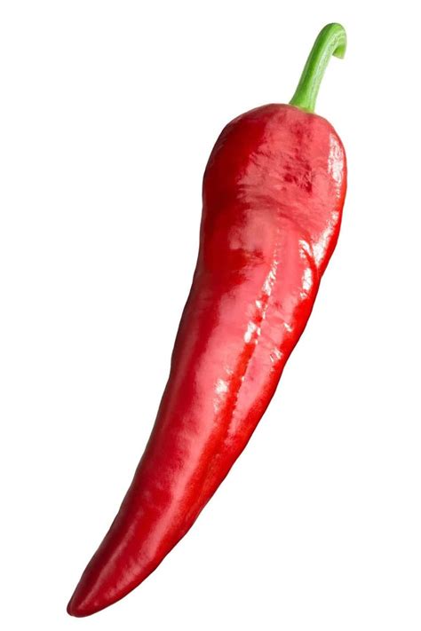 types  chili peppers   heat levels