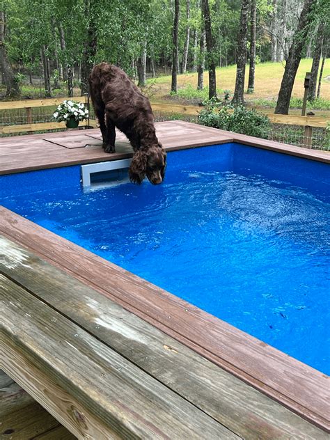 Small Above Ground Pools - Pool Works