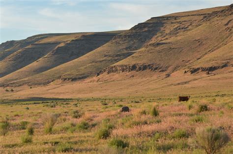 The Roaring Springs Ranch - About