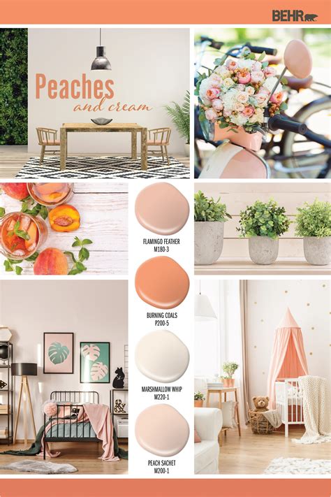 Peach Paint Co - EMSEKFLOL.COM