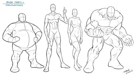 Body Types and Proportions - Reference by https://www.deviantart.com/robertmarzullo on ...