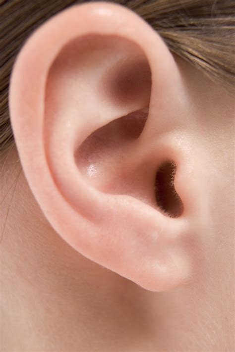 How to Improve Inner Ear Circulation | Livestrong.com