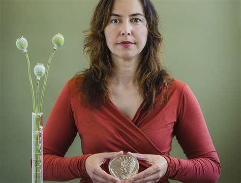 Yeast bioengineered to produce complex drug that's in short supply ... 