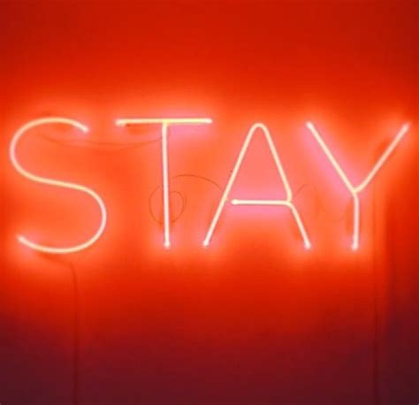 'STAY' -NEON SIGN ๑෴MustBaSign෴๑ | Neon signs, Neon colors, Neon