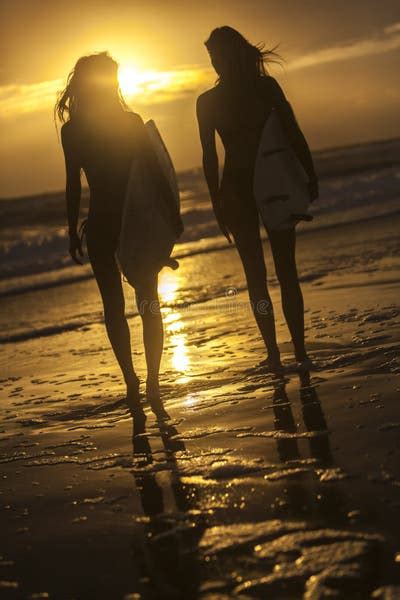 beautiful women bikinis pictures stock   royalty