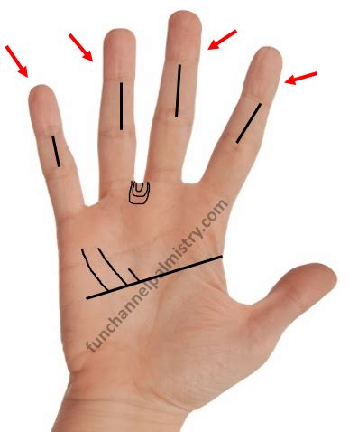 successful types  business   palmistry artofit