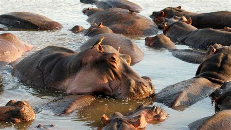 Kavango | The Namibia Safari | Accommodation, 4x4 Car Hire, Tours & Safaris