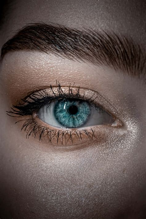 Download Blue Eye And Thick Brow Closeup Wallpaper | Wallpapers.com