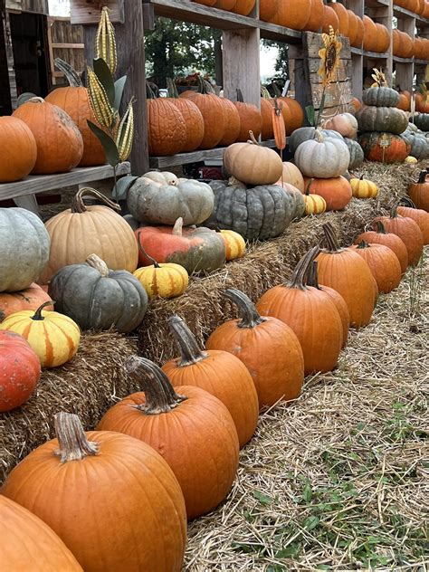 Burn Boot Camp - Bentonville, AR - 📣 The #KeepMovingClub started over