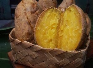 resep olahan ubi cilembu  mixer  oven rumahan enak  mudah