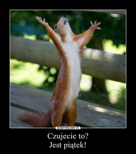 Piątek, piąteczek, piątunio. Memy na poprawę humoru tuż przed weekendem ...