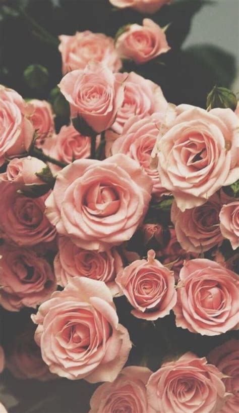 pink roses bouquet  aesthetic inspiration