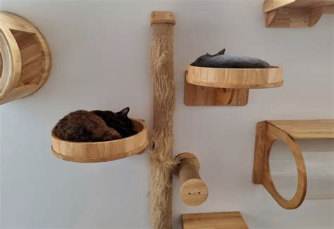 7 Best Wall-Mounted Cat Trees - 2024 Reviews & Top Picks | Hepper