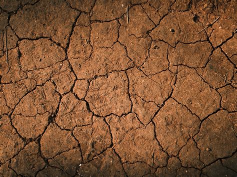 Do Clay Soil Hold Water at Mary Buck blog