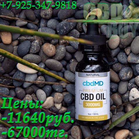 CBD КБД масло 10% cbdMD 30ml 3000mg • Купить в России • CBDBuy