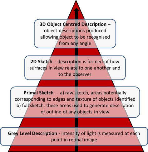 visual perception examples