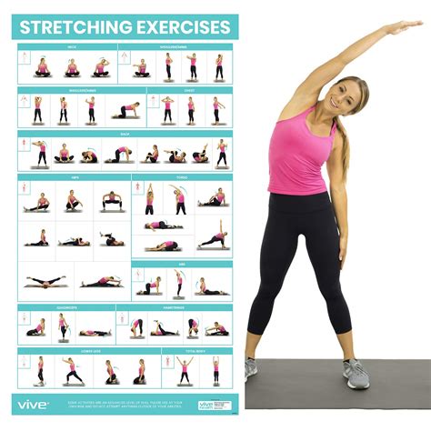 Buy Vive Workout s for Home Gym - 52 Streching Exercises Full Body