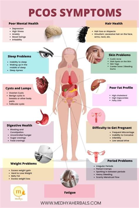 Pcos diet plan – Artofit