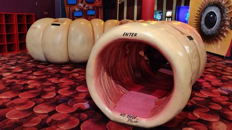 walk   human body     insides