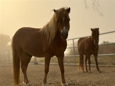 Majority of US voters back legal action against plastics industry over