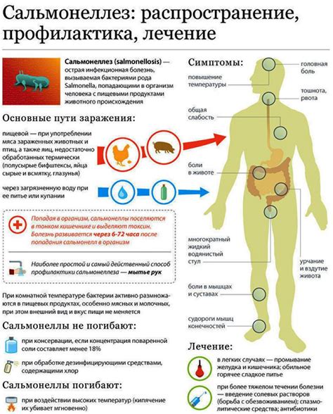Сальмонеллез | lemur59.ru